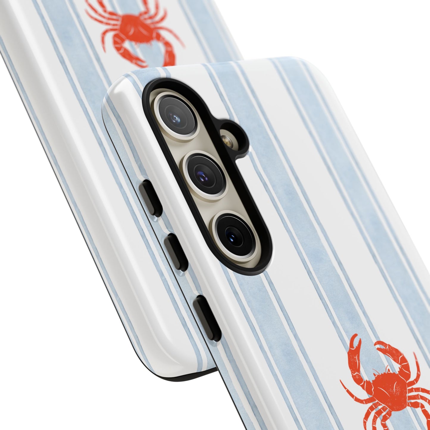 Coastal Crab