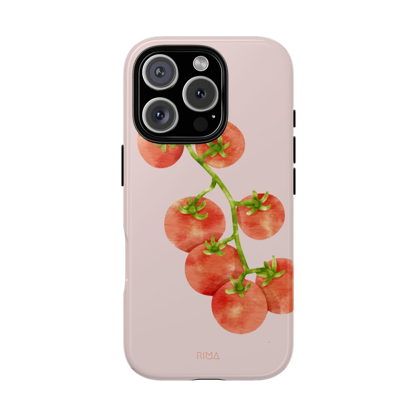 Salsa